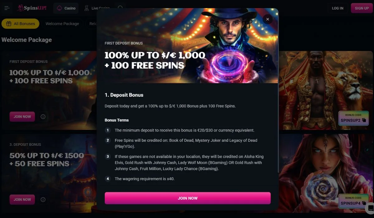bonus terms in online casinos