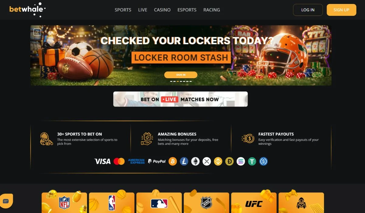 Betwhale No Deposit Bonus Casinos